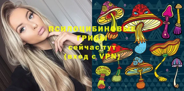 прущие грибы Карталы