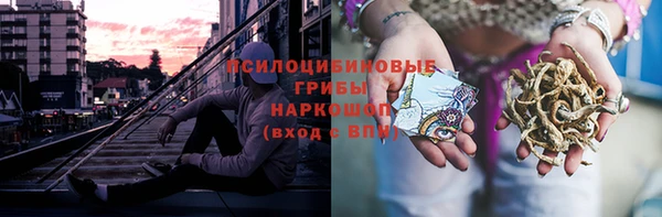 прущие грибы Карпинск