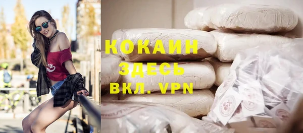 прущие грибы Карпинск