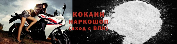прущие грибы Карпинск