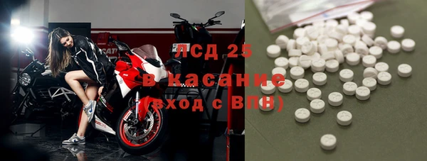 прущие грибы Карпинск