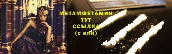 прущие грибы Карпинск