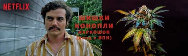 прущие грибы Карталы