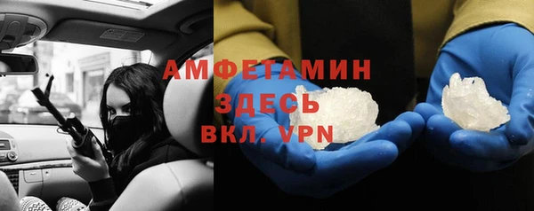 прущие грибы Карпинск