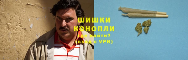 прущие грибы Карталы