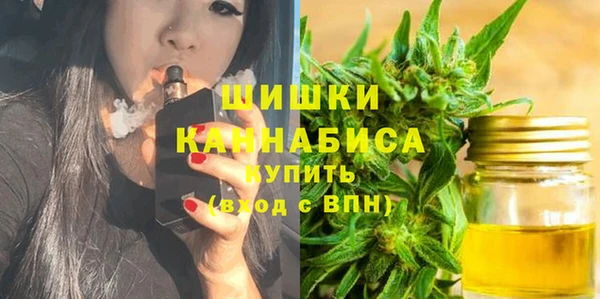 прущие грибы Карталы