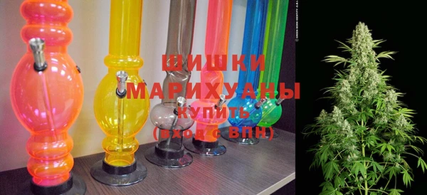 прущие грибы Карпинск