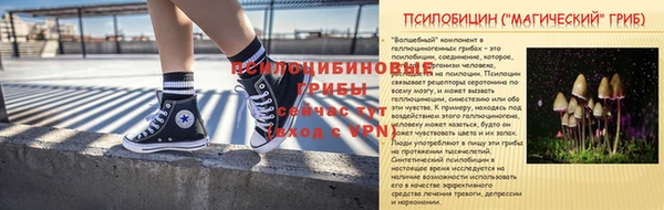 прущие грибы Карпинск